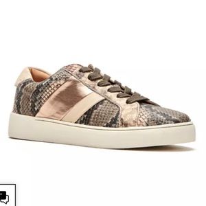 Frye & Co Hallie Low Lace Sneakers